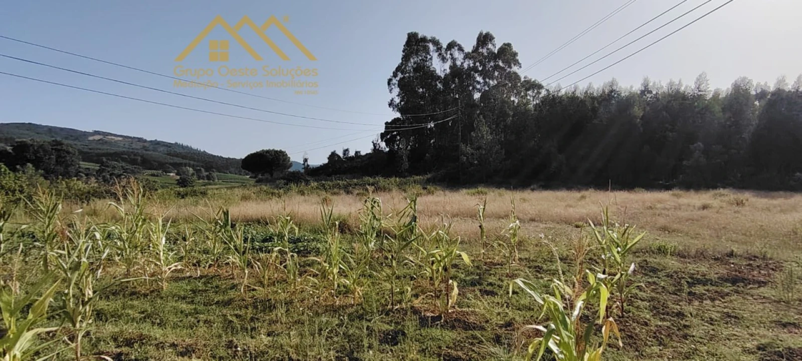 Terreno Agricola ou Rústico para Venda em Maxial e Monte Redondo Foto 1