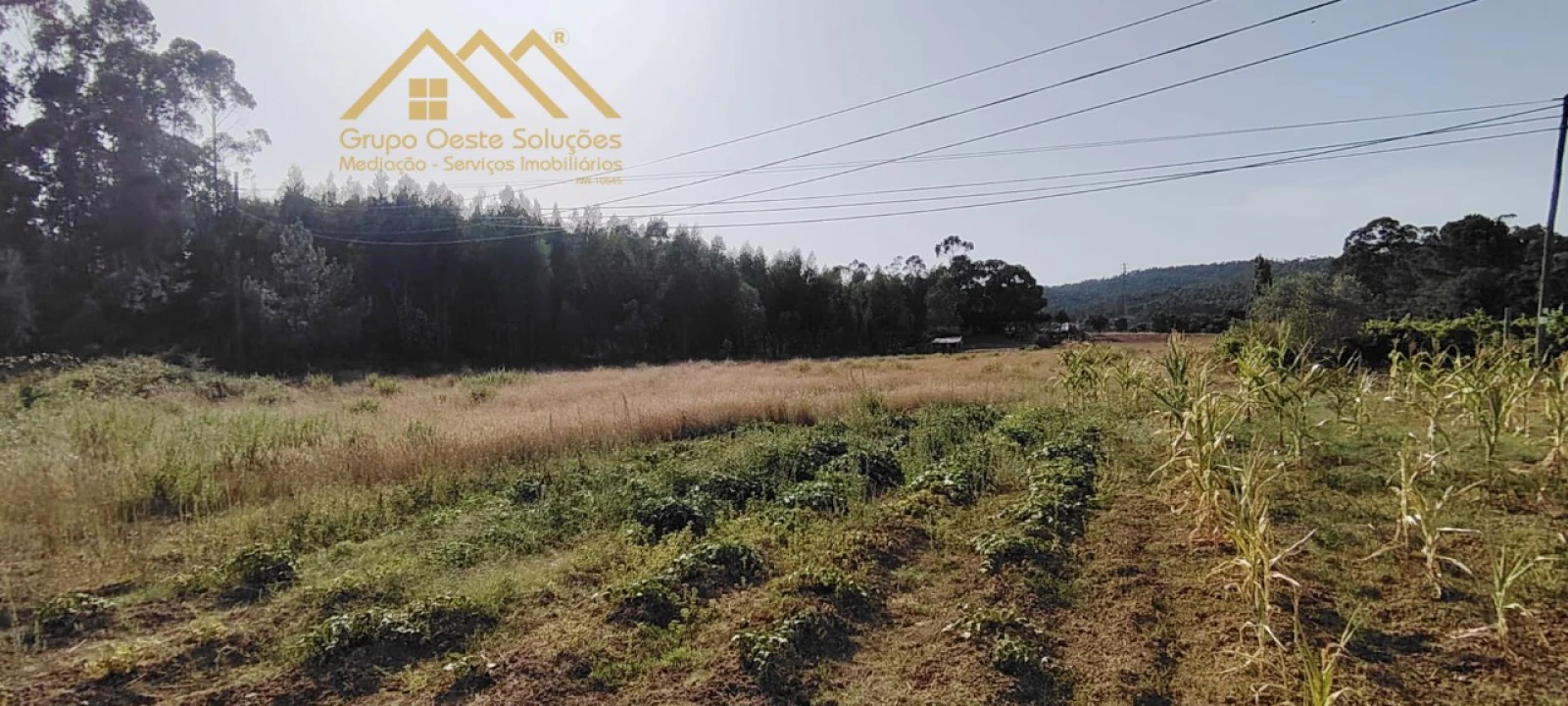 Terreno Agricola ou Rústico para Venda em Maxial e Monte Redondo Foto 2