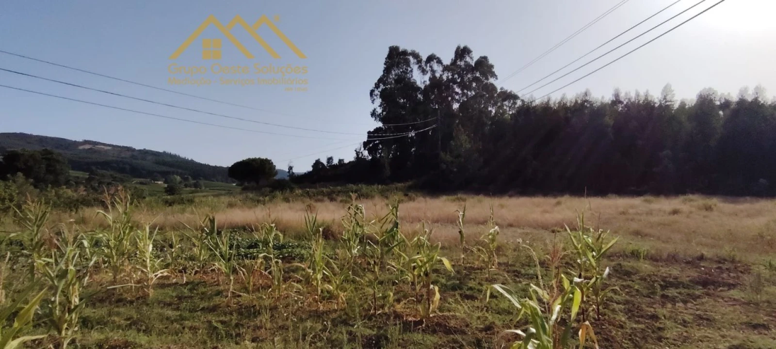 Terreno Agricola ou Rústico para Venda em Maxial e Monte Redondo Foto 3
