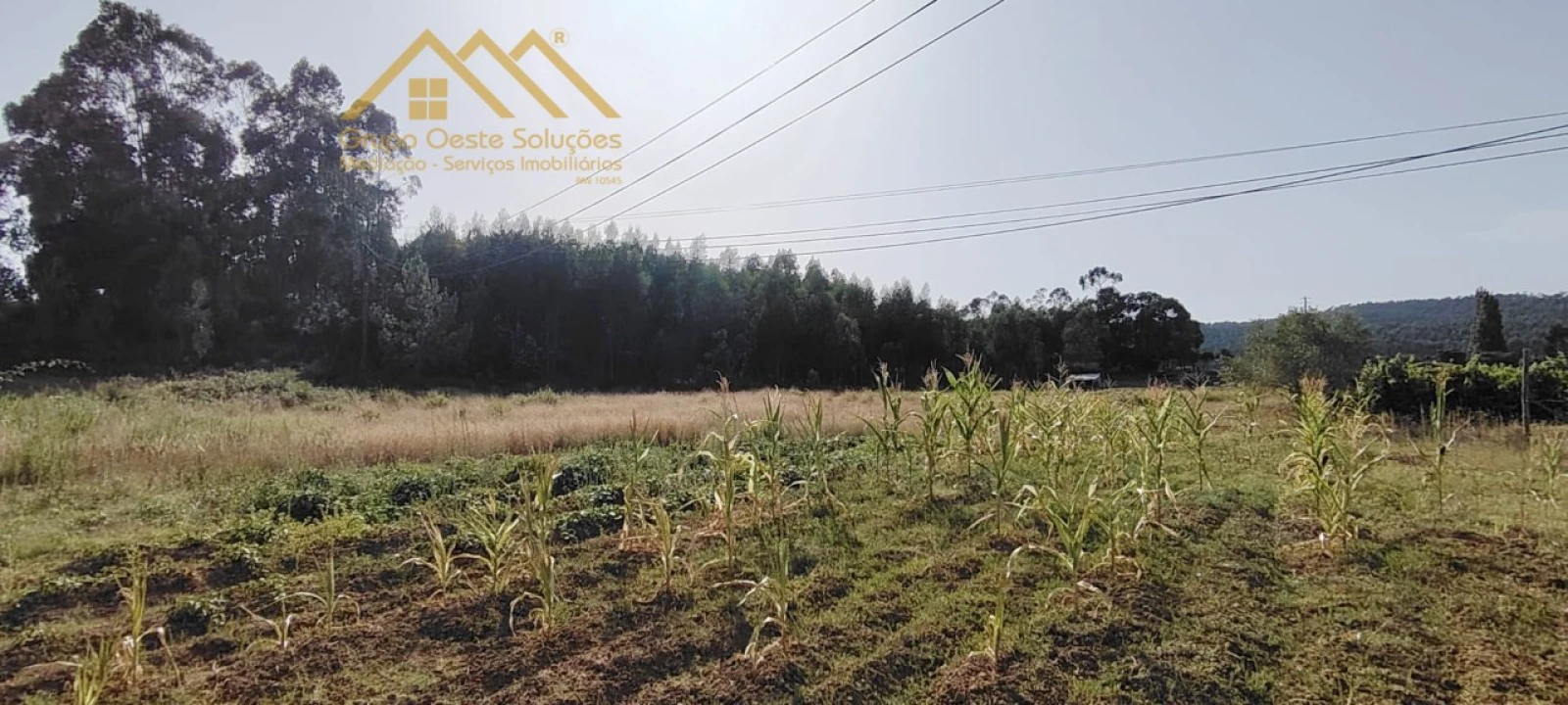 Terreno Agricola ou Rústico para Venda em Maxial e Monte Redondo Foto 6