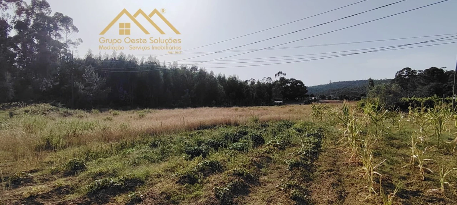 Terreno Agricola ou Rústico para Venda em Maxial e Monte Redondo Foto 7
