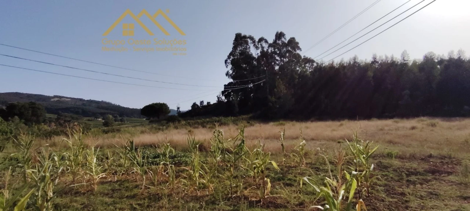 Terreno Agricola ou Rústico para Venda em Maxial e Monte Redondo Foto 11