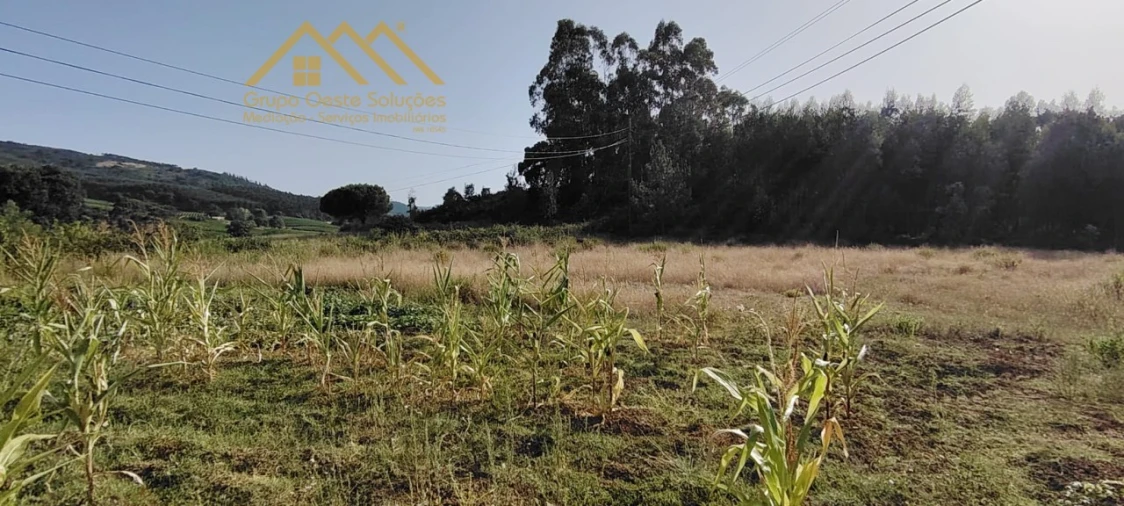 Terreno Agricola ou Rústico para Venda em Maxial e Monte Redondo Foto 5