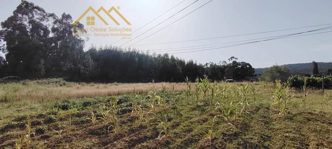 Terreno Agricola ou Rústico para Venda em Maxial e Monte Redondo Foto 6