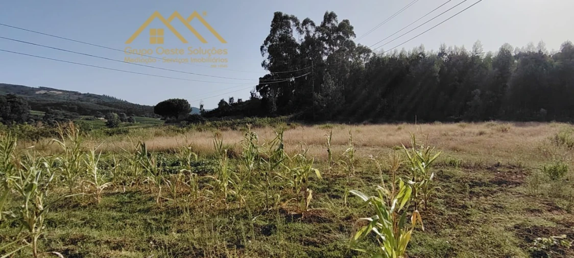 Terreno Agricola ou Rústico para Venda em Maxial e Monte Redondo Foto 8