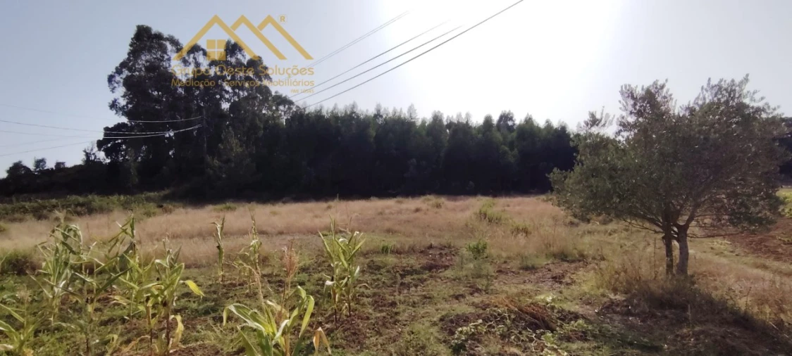 Terreno Agricola ou Rústico para Venda em Maxial e Monte Redondo Foto 9