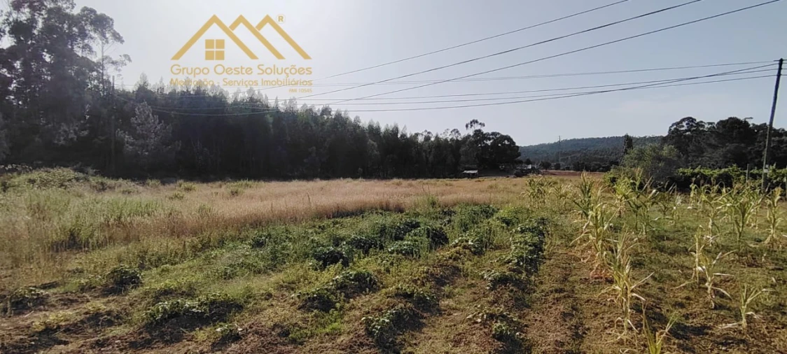 Terreno Agricola ou Rústico para Venda em Maxial e Monte Redondo Foto 12