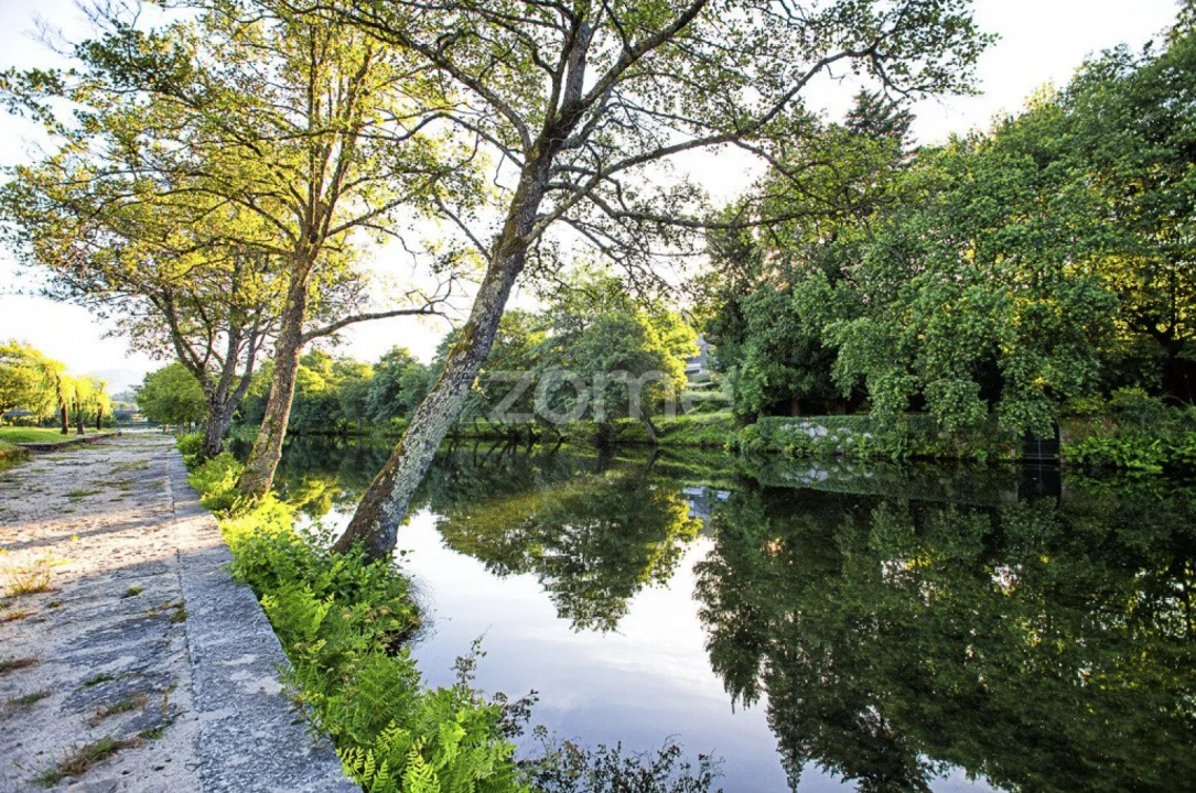 Terreno para Venda em Guilhadeses e Santar Foto 13