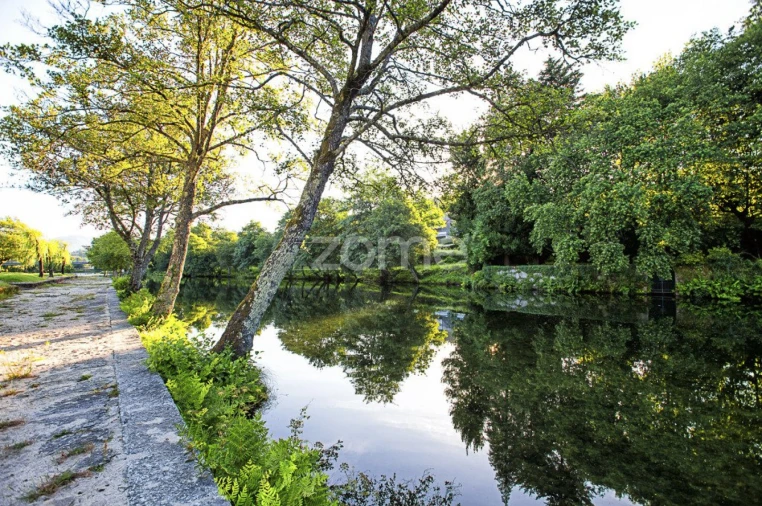 Terreno para Venda em Guilhadeses e Santar Foto 13