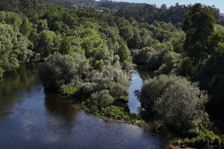 Terreno para Venda em Guilhadeses e Santar Foto 8