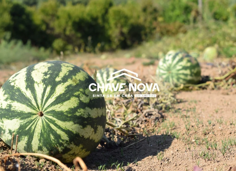 Quinta T2 para Venda em Monchique Foto 9