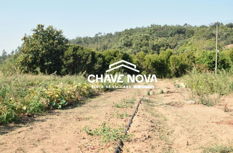 Quinta T2 para Venda em Monchique Foto 7