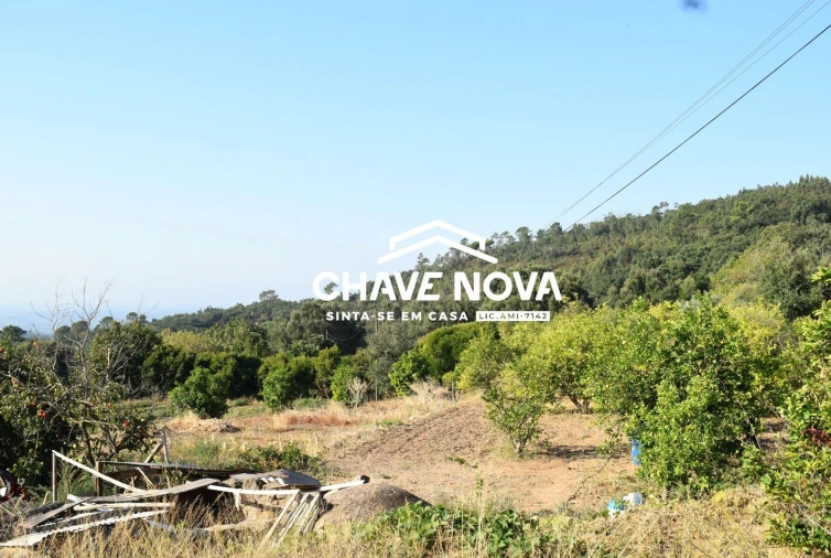 Quinta T2 para Venda em Monchique Foto 10