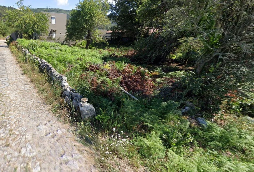 Terreno para Venda em Afife Foto 2