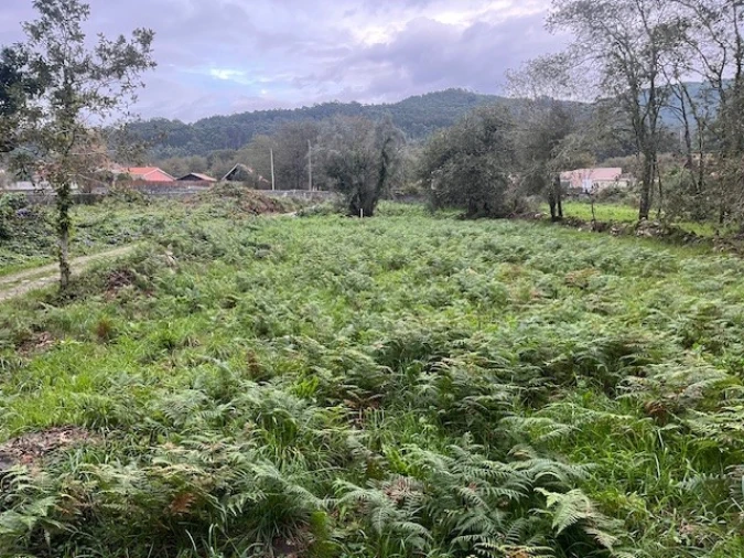 Terreno para Venda em Afife Foto 9