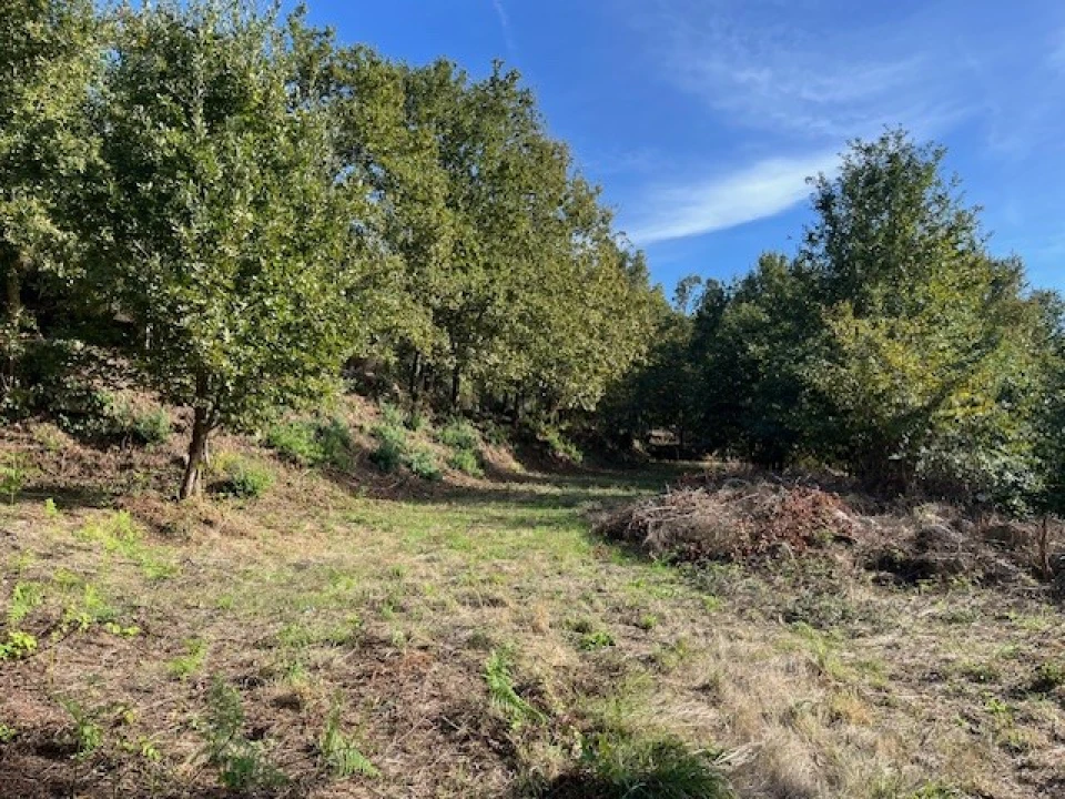 Quinta para Venda em Ponte da Barca, V.N. Muía, Paço Vedro Magalhães Foto 4