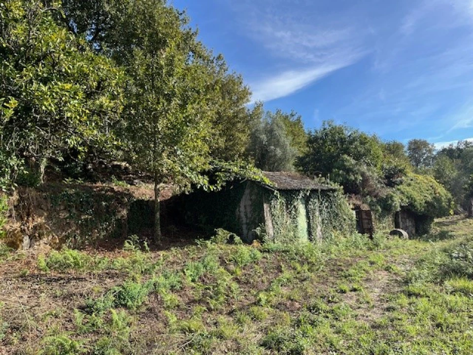 Terreno para Venda em Ponte da Barca, V.N. Muía, Paço Vedro Magalhães Foto 2