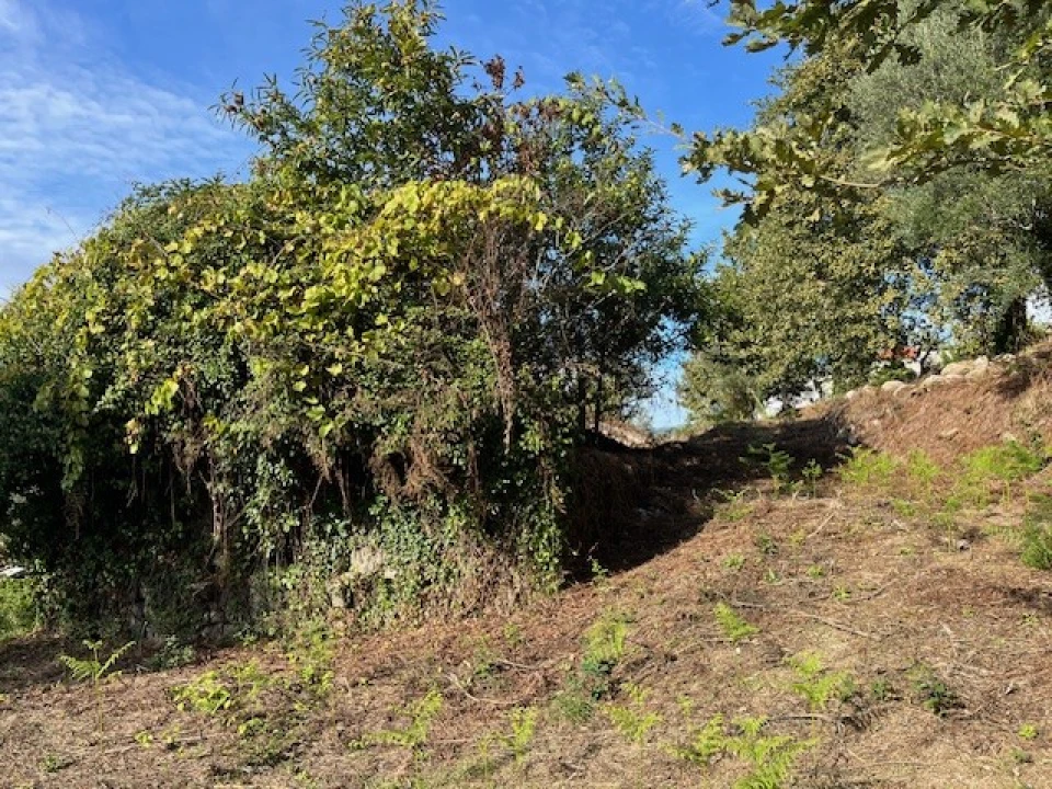 Terreno para Venda em Ponte da Barca, V.N. Muía, Paço Vedro Magalhães Foto 7