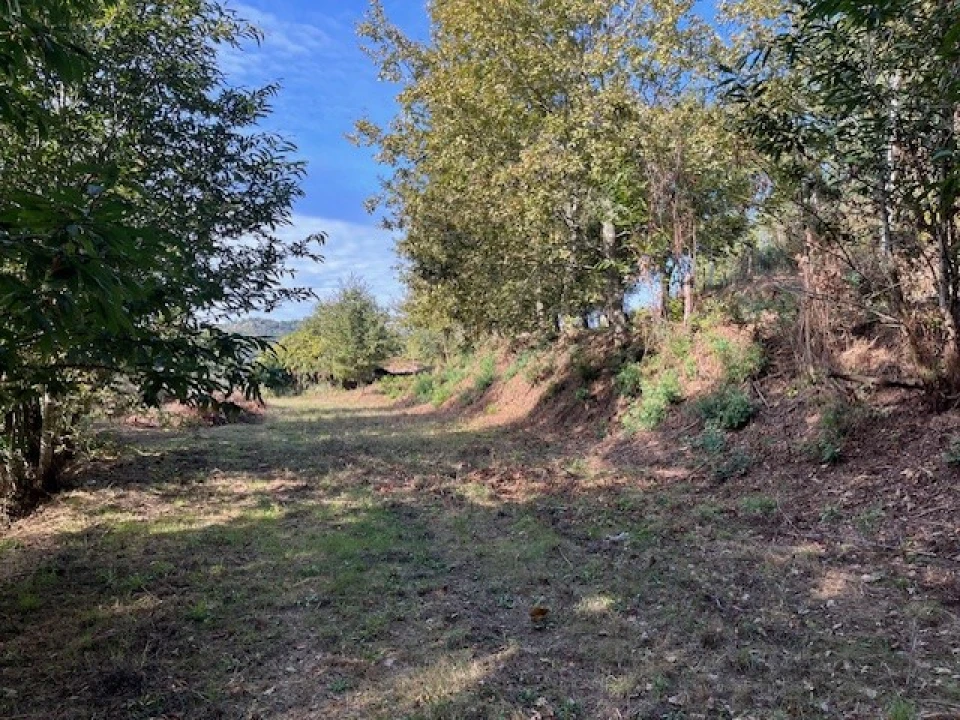 Terreno para Venda em Ponte da Barca, V.N. Muía, Paço Vedro Magalhães Foto 10