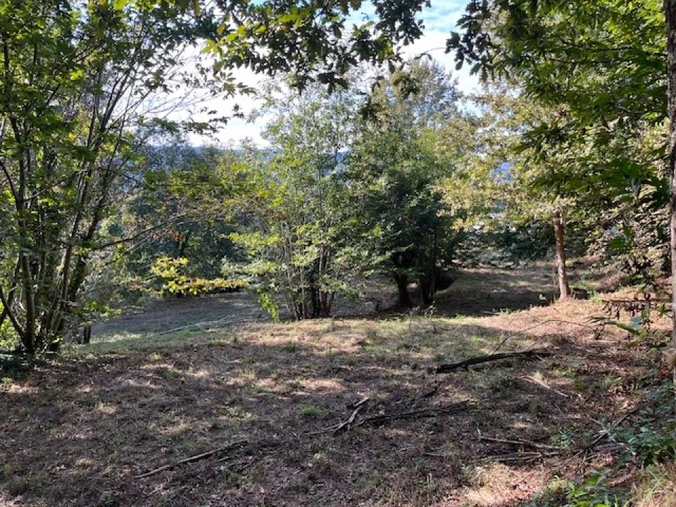 Terreno para Venda em Ponte da Barca, V.N. Muía, Paço Vedro Magalhães Foto 12
