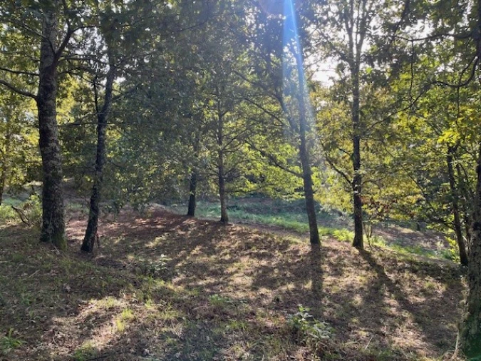 Terreno para Venda em Ponte da Barca, V.N. Muía, Paço Vedro Magalhães Foto 8