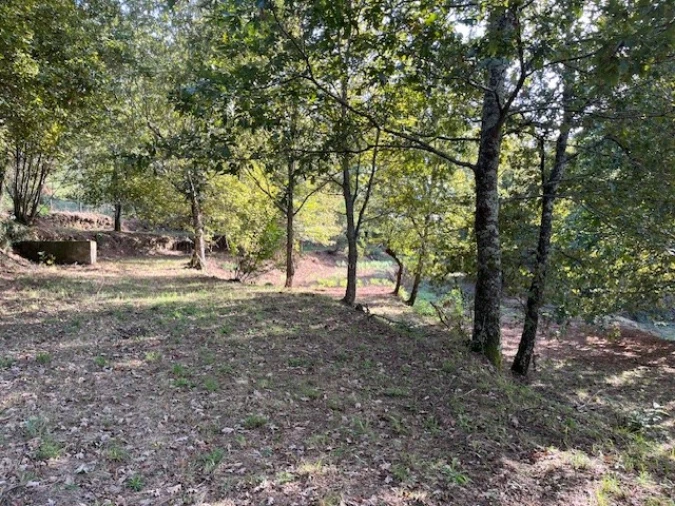 Terreno para Venda em Ponte da Barca, V.N. Muía, Paço Vedro Magalhães Foto 9