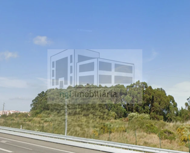 Terreno para Venda em Santa Maria e São Miguel, São Martinho, São Pedro Penaferrim Foto 7