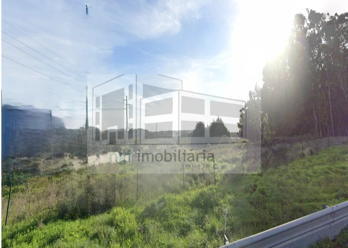 Terreno para Venda em Santa Maria e São Miguel, São Martinho, São Pedro Penaferrim Foto 4