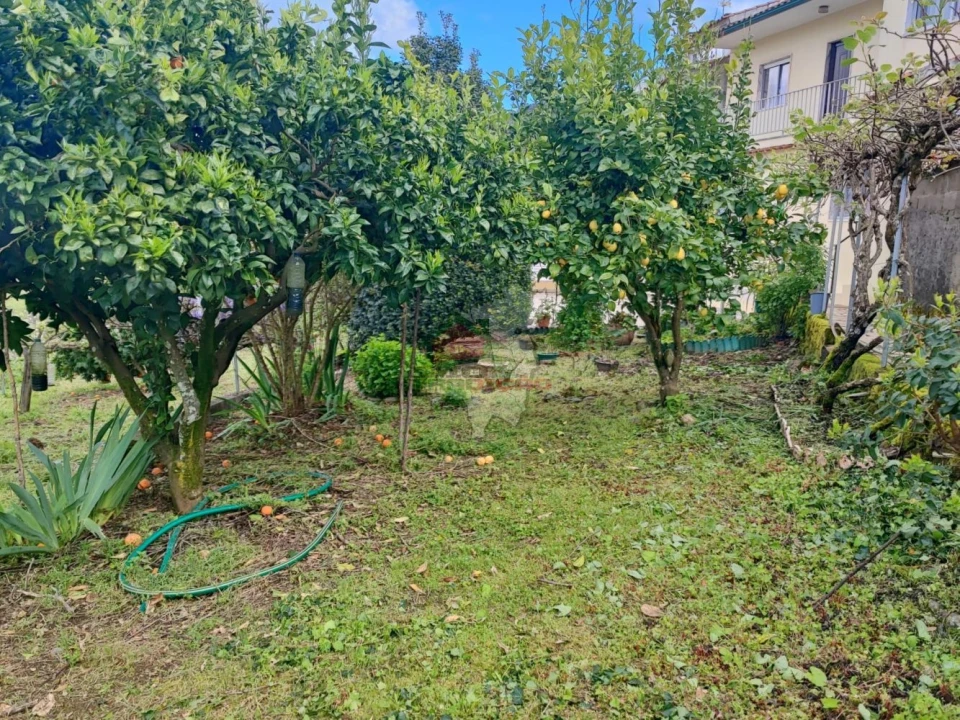 Moradia T4 para Venda em Proença-A-Nova e Peral Foto 39