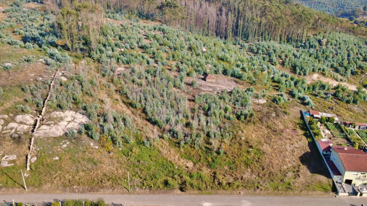 Terreno para Venda em Penafiel Foto 1