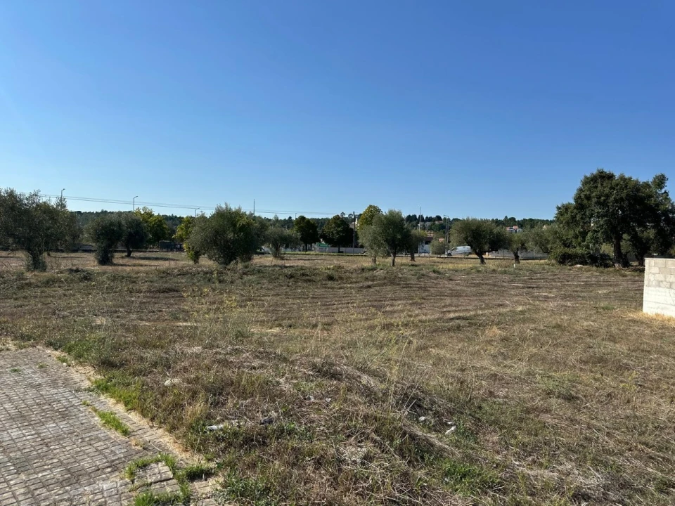 Terreno para Venda em Abrantes (São Vicente e São João) e Alferrarede Foto 5