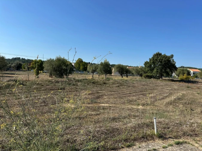 Terreno para Venda em Abrantes (São Vicente e São João) e Alferrarede Foto 7