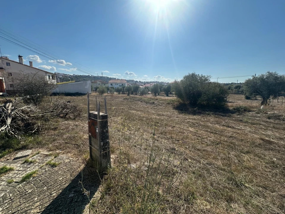 Terreno para Venda em Abrantes (São Vicente e São João) e Alferrarede Foto 3