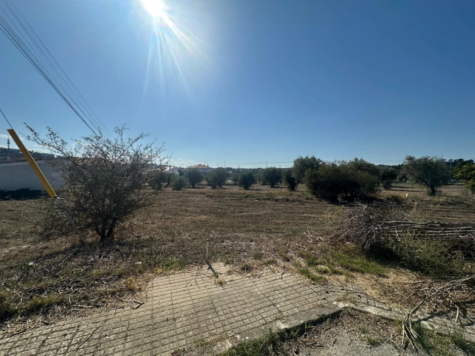 Terreno para Venda em Abrantes (São Vicente e São João) e Alferrarede Foto 4
