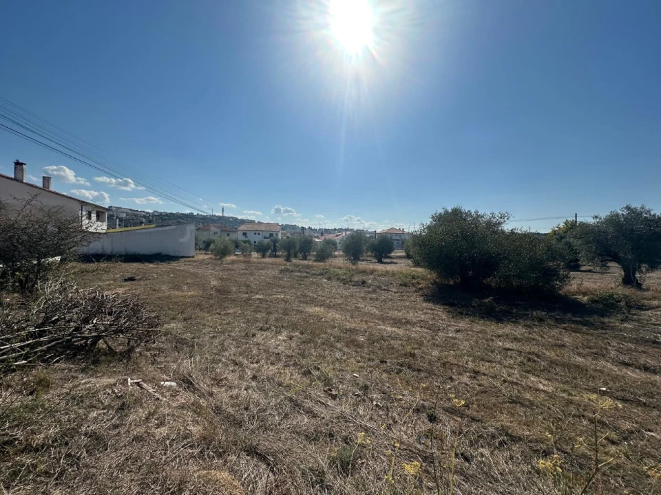 Terreno para Venda em Abrantes (São Vicente e São João) e Alferrarede Foto 5