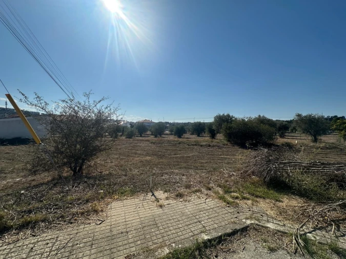 Terreno para Venda em Abrantes (São Vicente e São João) e Alferrarede Foto 4
