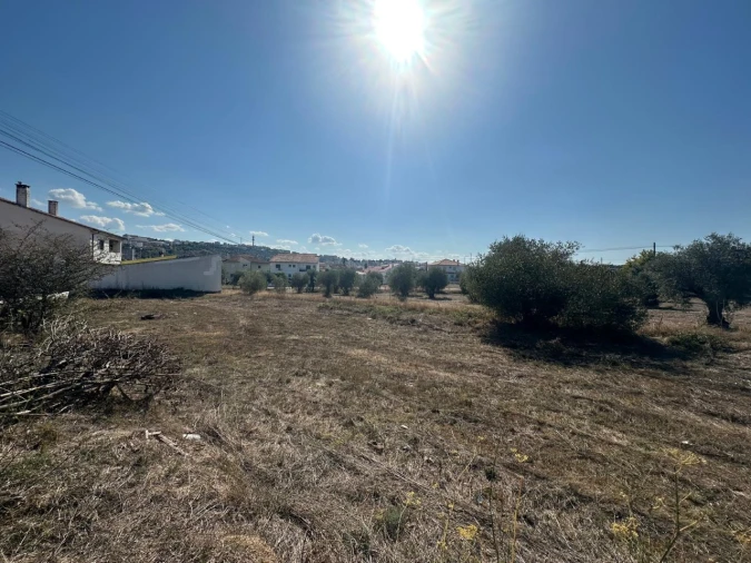Terreno para Venda em Abrantes (São Vicente e São João) e Alferrarede Foto 5