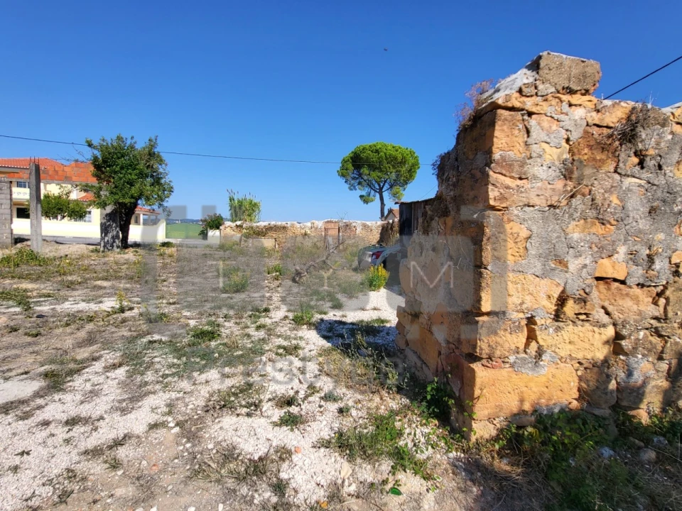 Terreno para Venda em São João Baptista e Santa Maria dos Olivais Foto 11