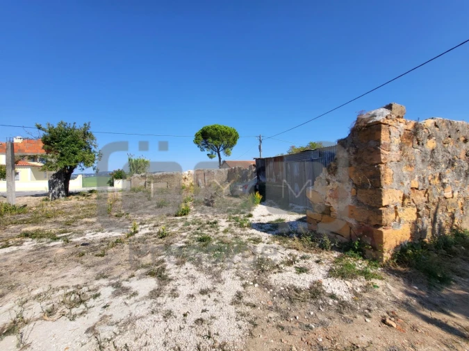 Terreno para Venda em São João Baptista e Santa Maria dos Olivais Foto 3