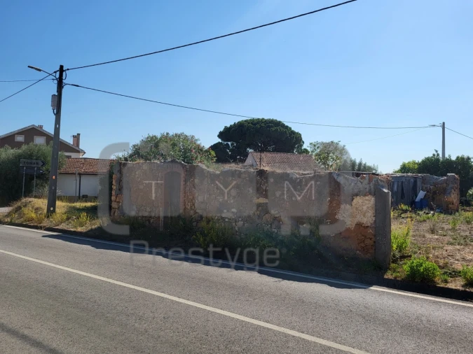 Terreno para Venda em São João Baptista e Santa Maria dos Olivais Foto 6