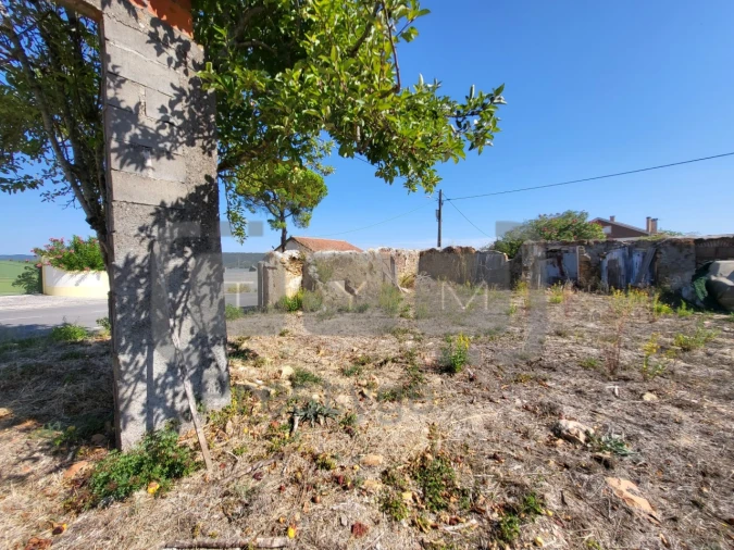 Terreno para Venda em São João Baptista e Santa Maria dos Olivais Foto 7