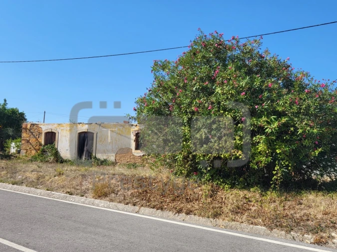 Terreno para Venda em São João Baptista e Santa Maria dos Olivais Foto 10