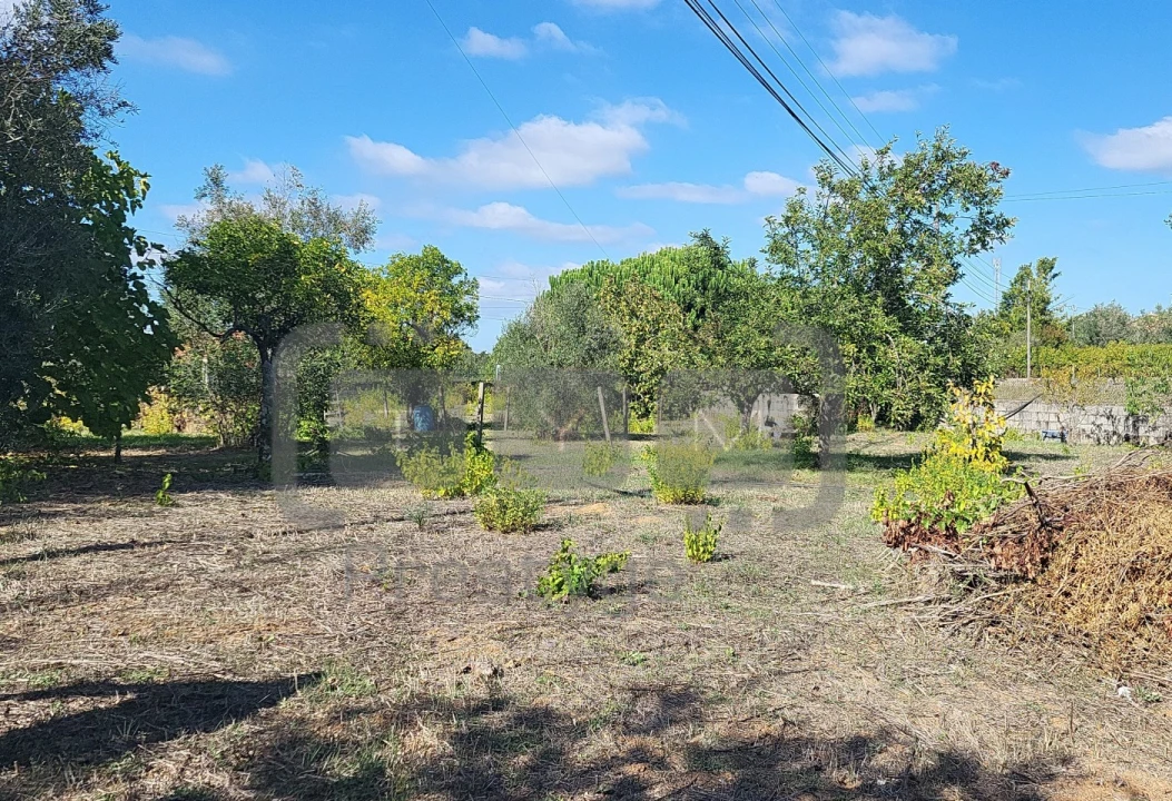 Terreno para Venda em Casais e Alviobeira Foto 2
