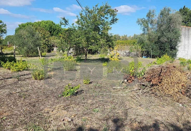 Terreno para Venda em Casais e Alviobeira Foto 3