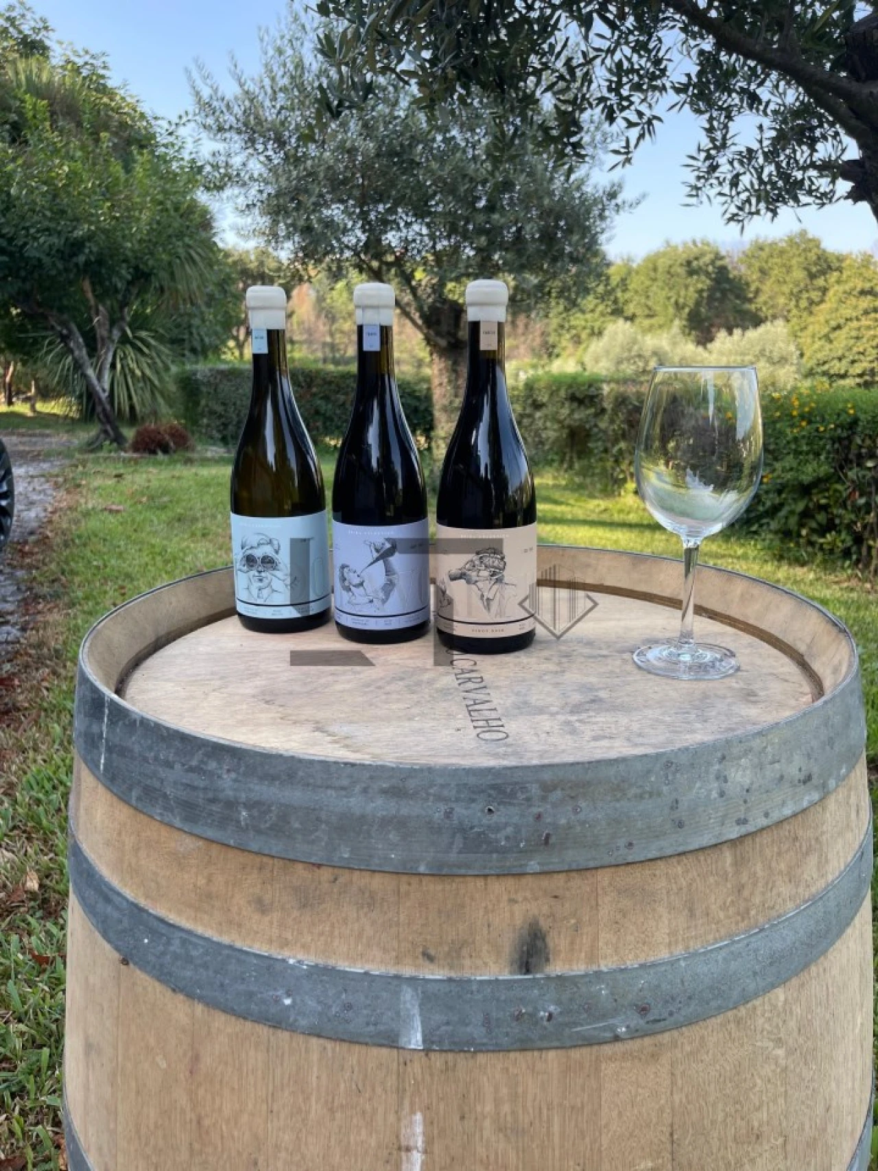 Quinta T7 para Venda em Pessegueiro do Vouga Foto 23