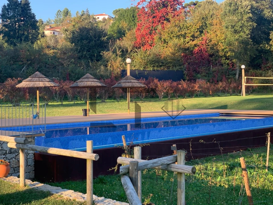 Quinta T7 para Venda em Pessegueiro do Vouga Foto 35