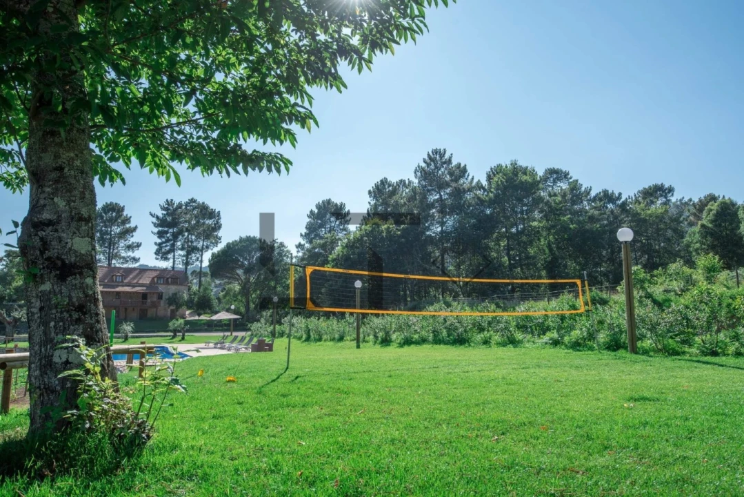 Quinta T7 para Venda em Pessegueiro do Vouga Foto 40