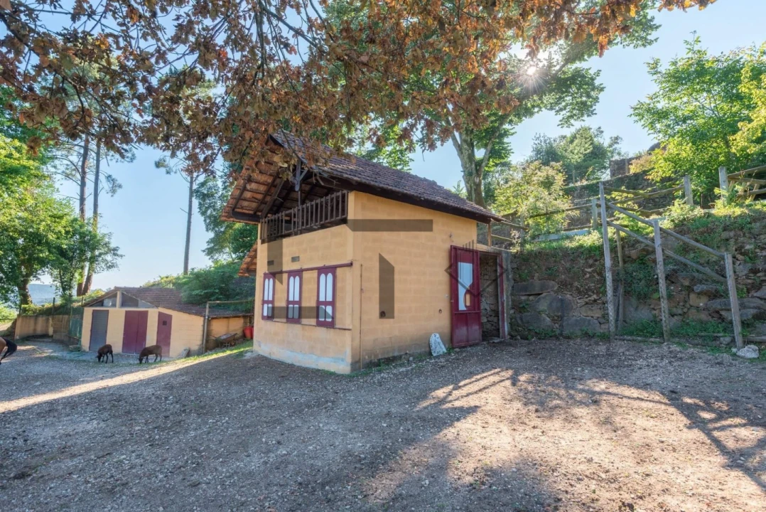 Quinta T7 para Venda em Pessegueiro do Vouga Foto 50