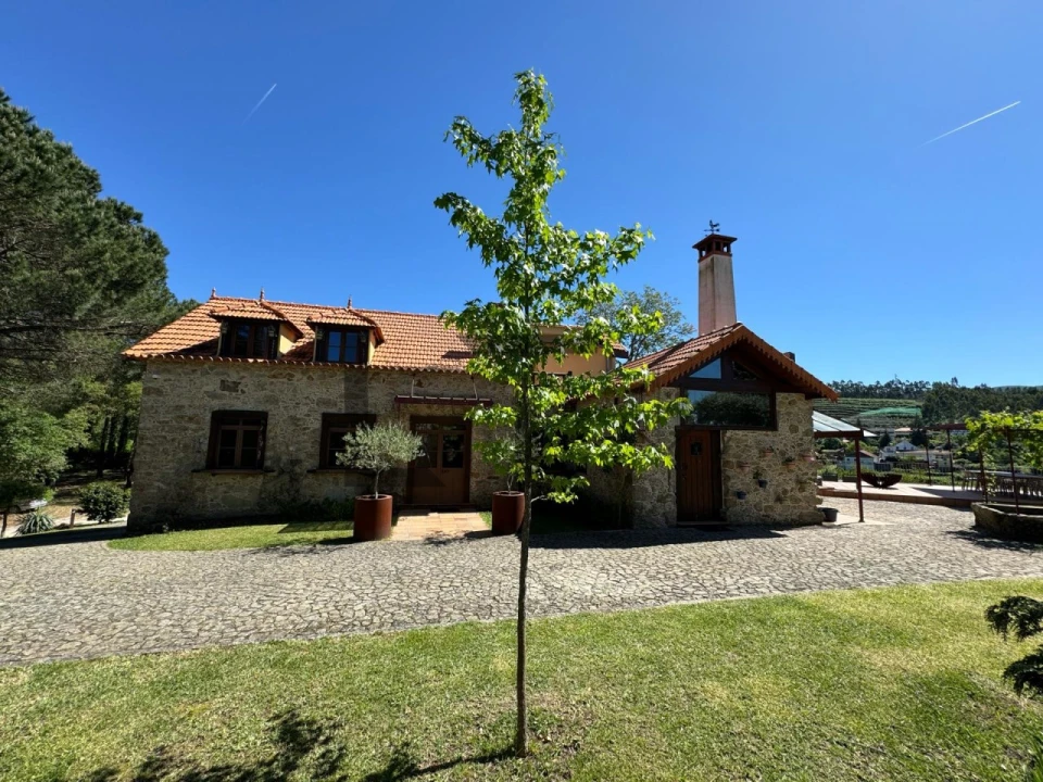 Quinta T7 para Venda em Pessegueiro do Vouga Foto 72