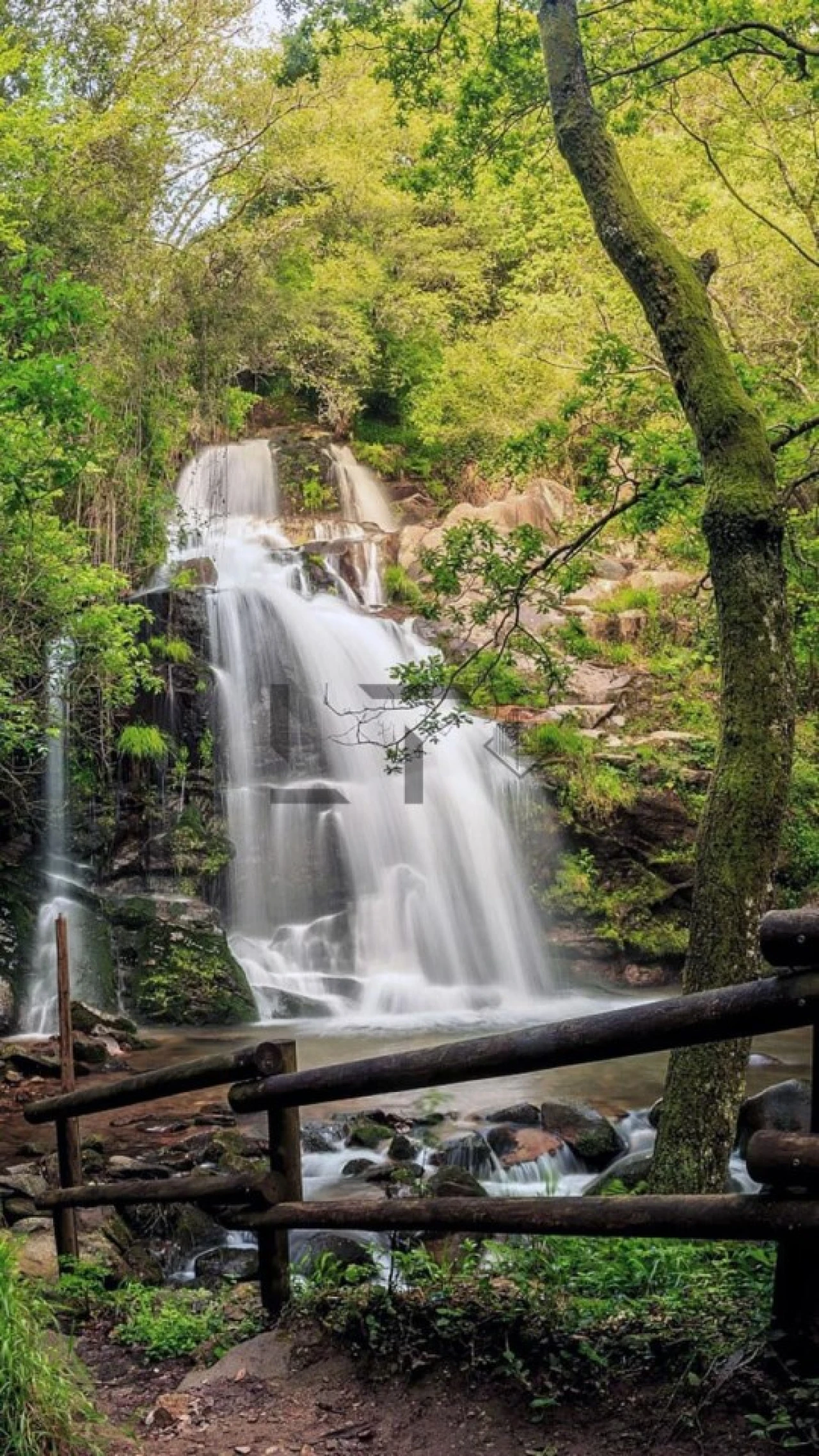 Quinta T7 para Venda em Pessegueiro do Vouga Foto 114